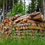 <strong>Як купити деревину сухостій на Прозорро</strong>