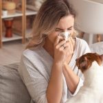 Аллергия на животных: как справиться с этим